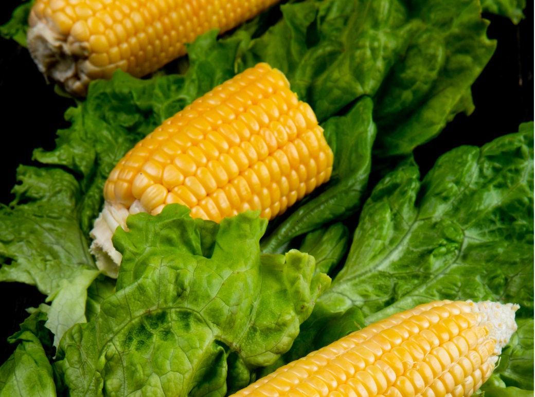 Food and Agriculture Products